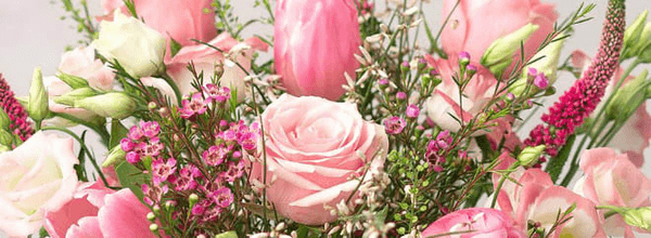 Bunches.co.uk promotion