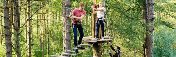 Go Ape promotion